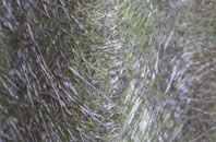 Lulworth Camp fibreglass roof work